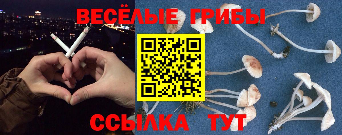 Псилоцибиновые грибы прущие грибы  Псилоцибиновые грибы Psilocybe  Якутск  Вход с VPN 